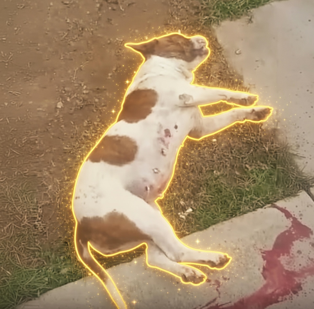 Justice for Cali logo