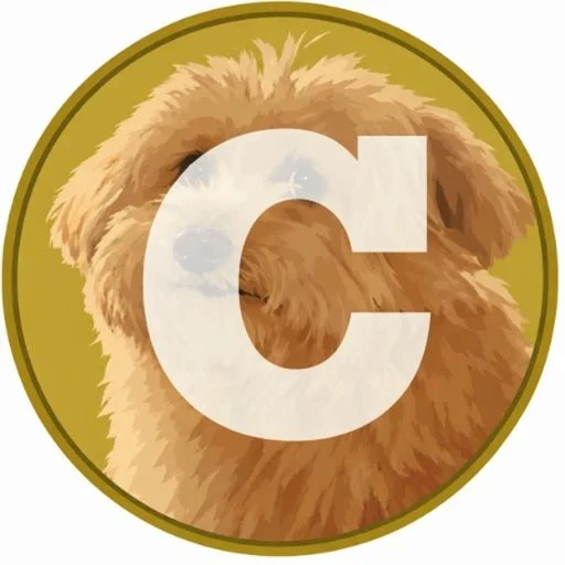 Coacoin logo