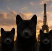 Niggas In Paris logo