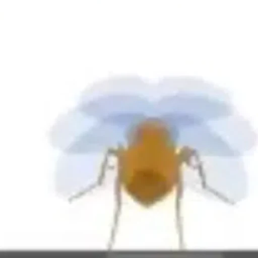 Odyssey Fly logo