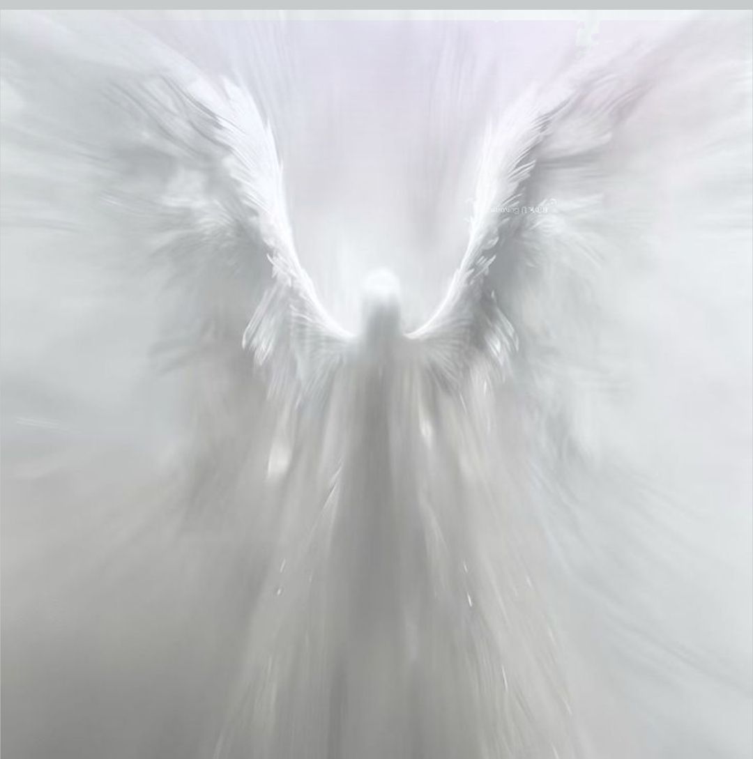 angel logo
