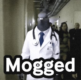 Mogged logo