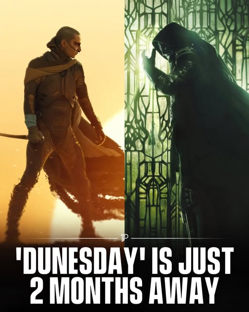Dunesday logo
