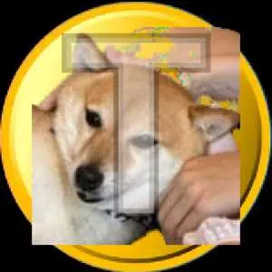 Tsukicoin logo