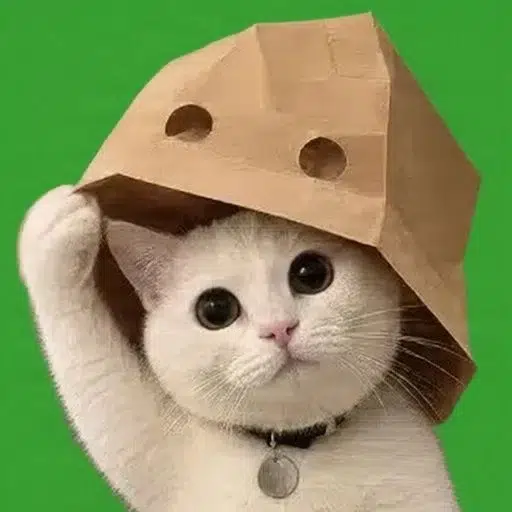 Know Your Cat logo