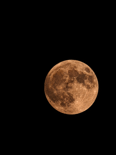 Luna logo