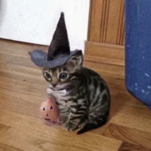WitchCat logo