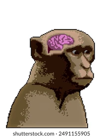 APE BRAIN logo