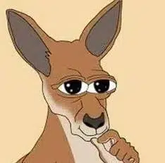 Ruru The Kangaroo logo