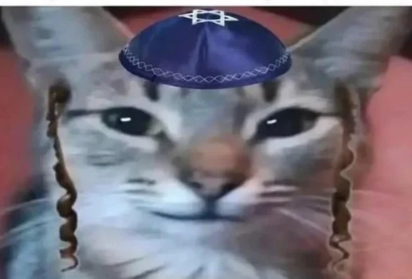 צ'אטול logo