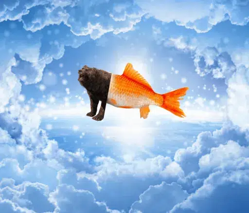Bearish logo