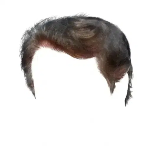The Trump Wig logo