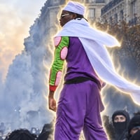 piccolo de protestation logo