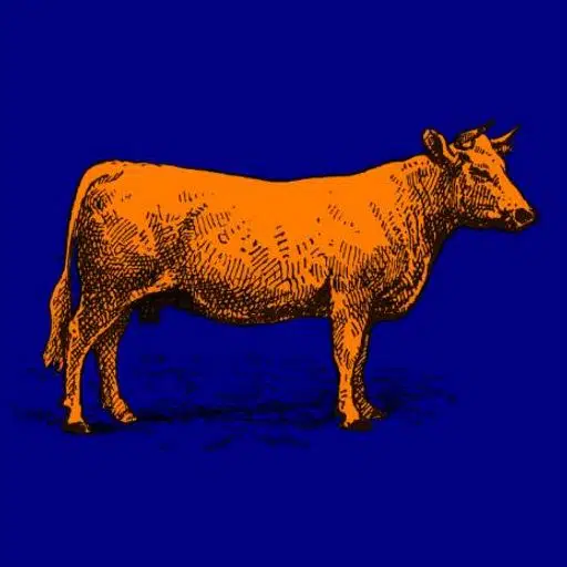 Meme Market Bull logo