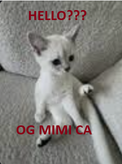 HELLO? WE HAVE A OG MIMI logo