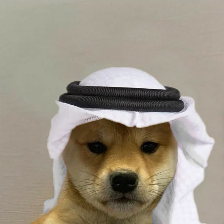 الكلب logo