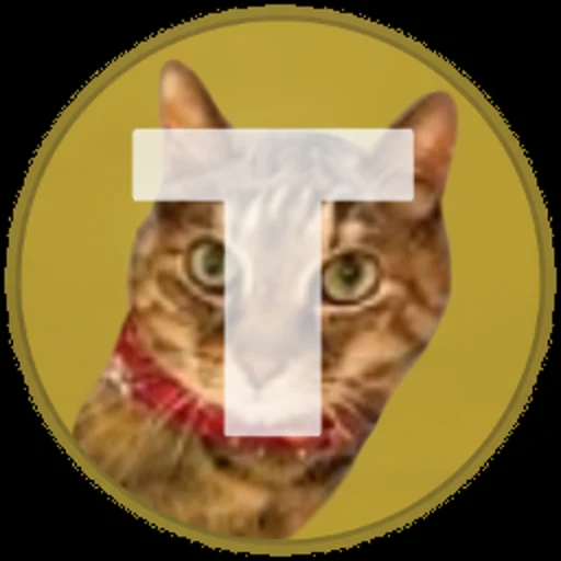 Tsujicoin logo
