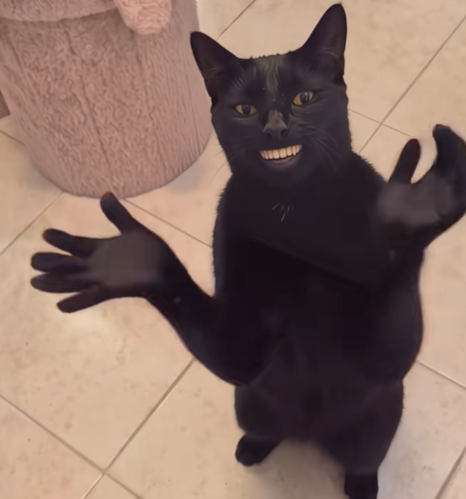 BLACK PEEP CAT logo