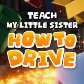 Teach My Sister How To Drive logo