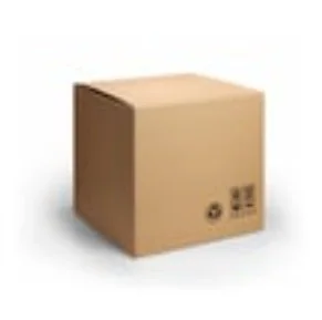there is a cat inside this box logo