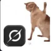 SLAPCAT logo