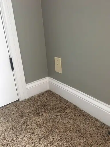 Invisible Cat logo