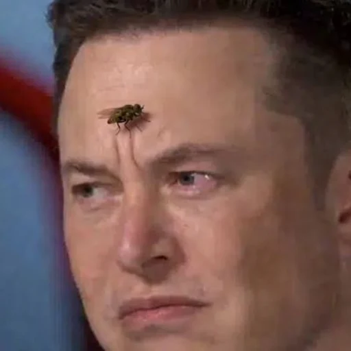 Elon FLY logo