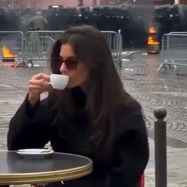 this is fine logo