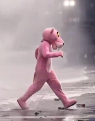  THE FRENCH PINK PANTHER  logo