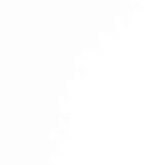 White Monday logo