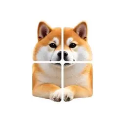 Inudex logo