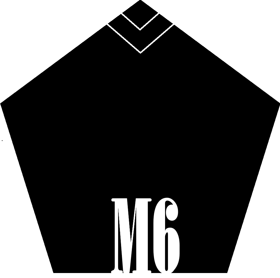 M6 logo