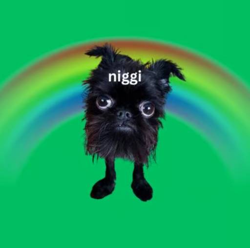 niggi logo