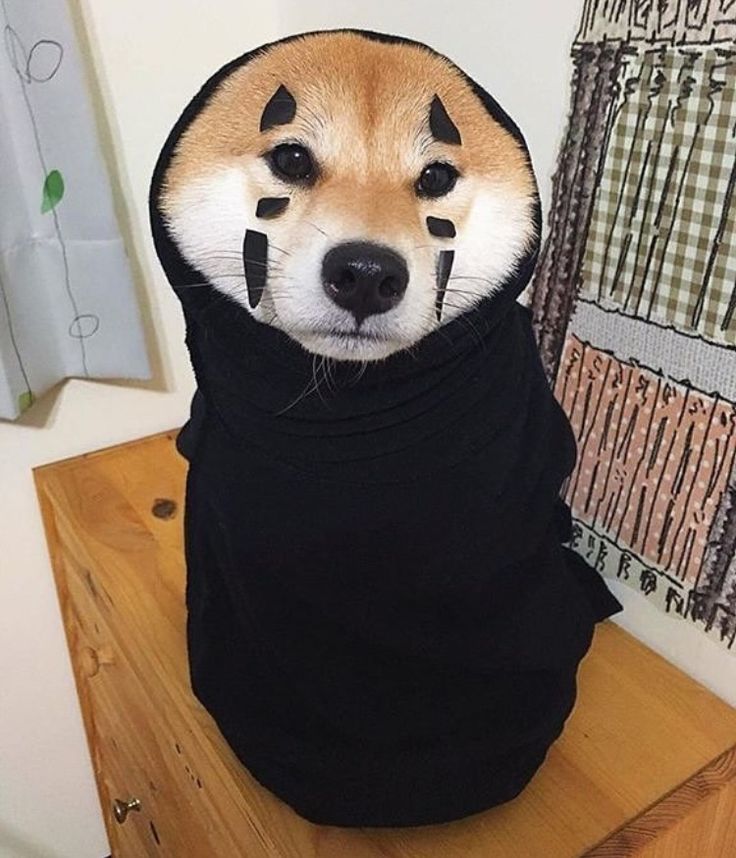 BOO INU logo