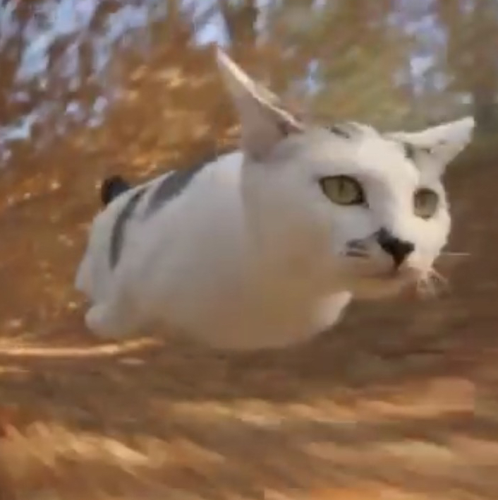 catspeed logo