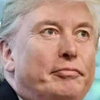 Donald Tusk logo