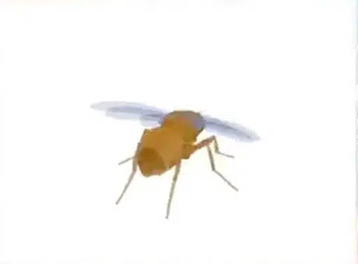 The Odyssean Fly logo