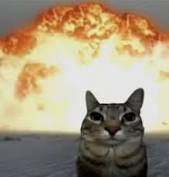 CATBOOM logo