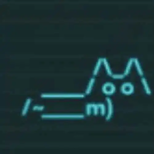 Bitcat logo