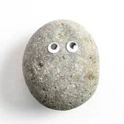 Pet Rock logo