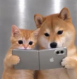 iNU Duo logo