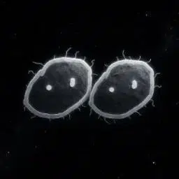 SPACEBALLS logo
