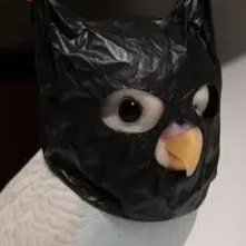 Anonymous Bird logo