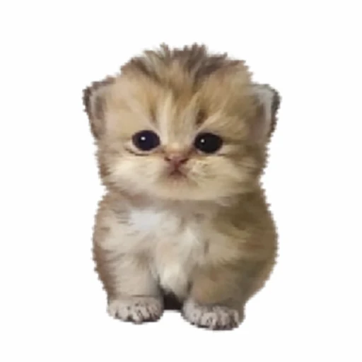 mimi logo