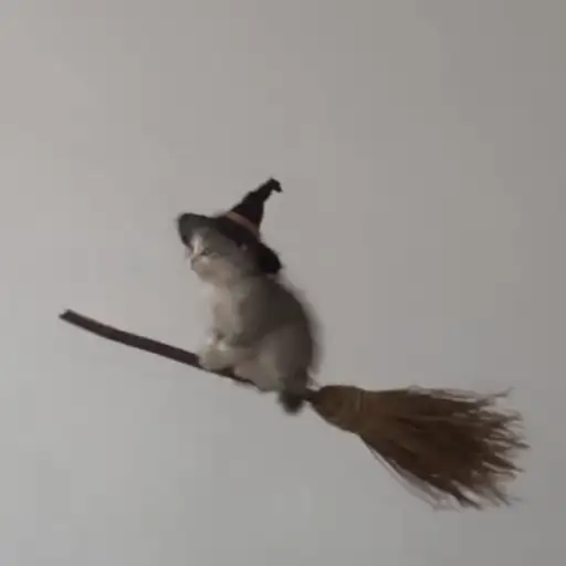 Broom Cat logo