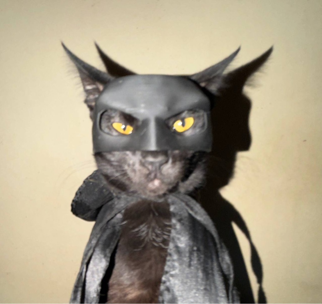 Spikes The Batman Cat logo