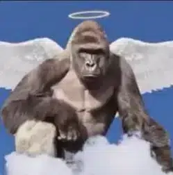 Dicks Out For Harambe logo