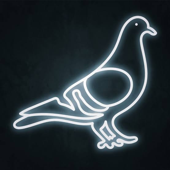 neon pigeon logo