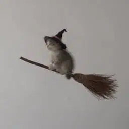Broom Cat logo