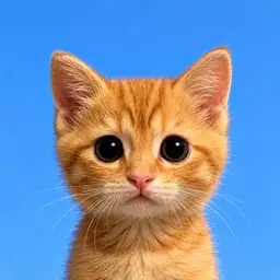 neko logo